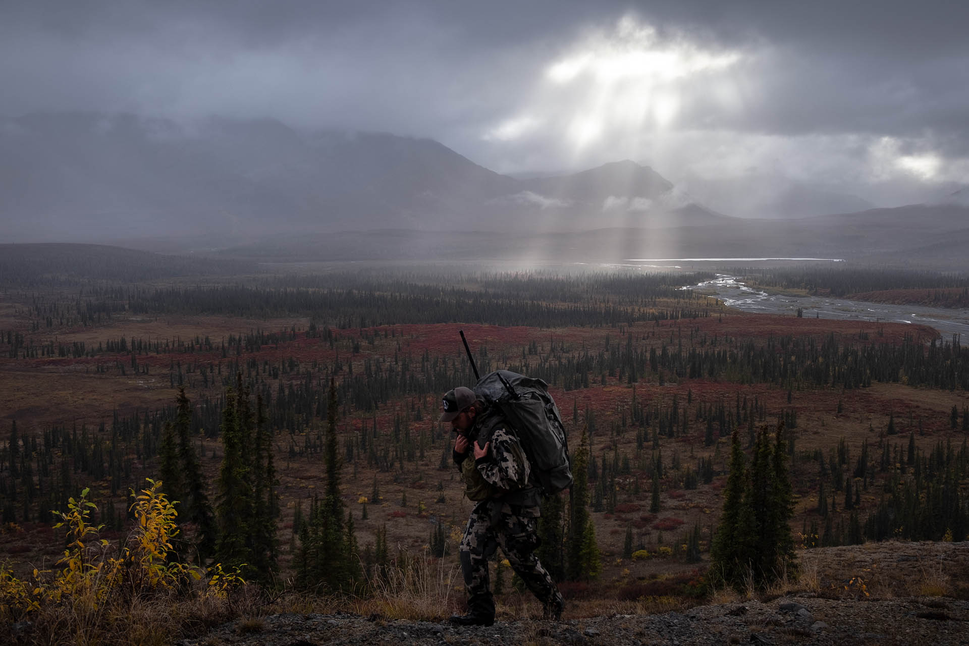 carms-find-your-rifle-banner