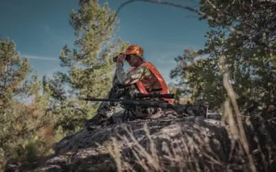 Mastering Mountain Hunts: Lightweight Rifles for Extreme Terrain
