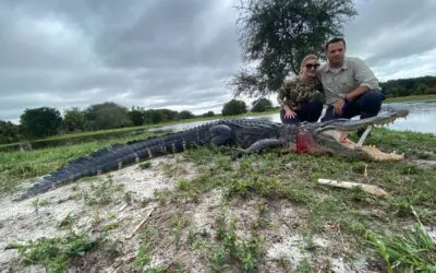 Gator Hunting in Florida with Christensen Arms