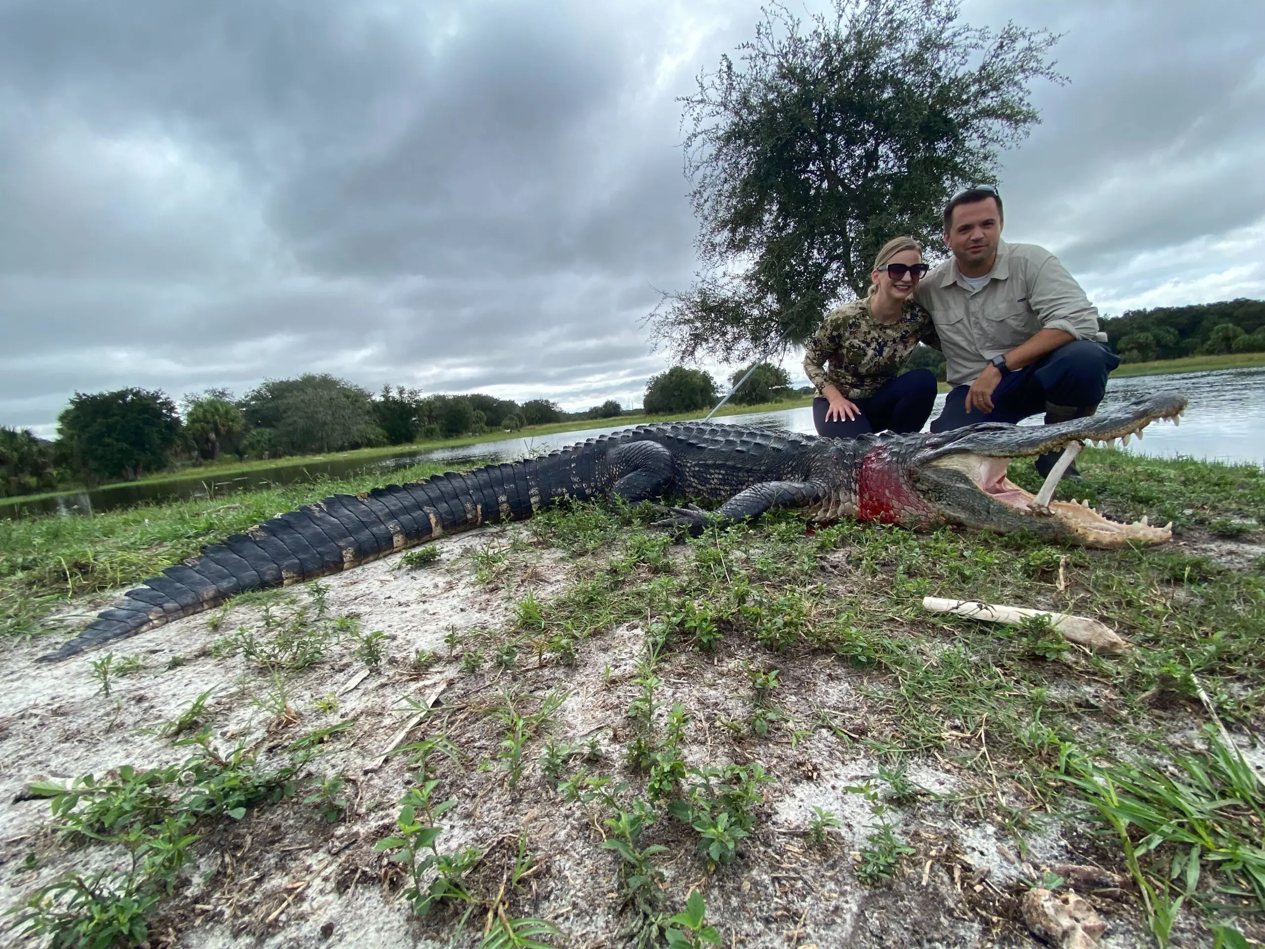 gator hunting in florida christensen arms