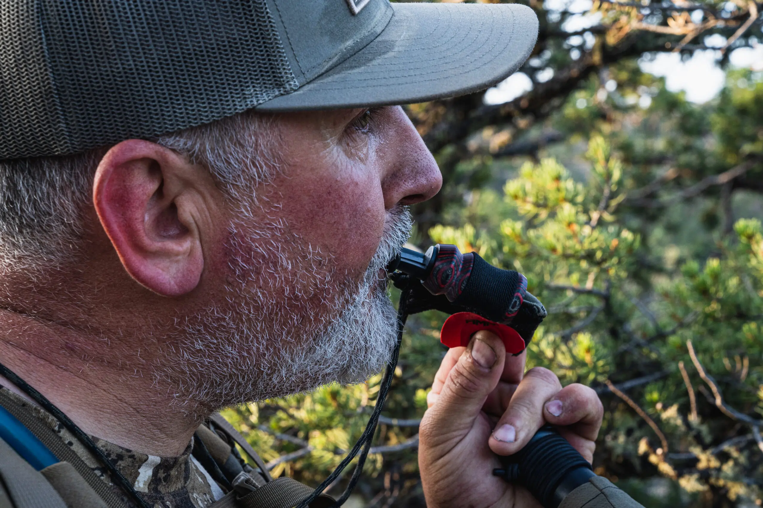 external elk call phelps elk calling