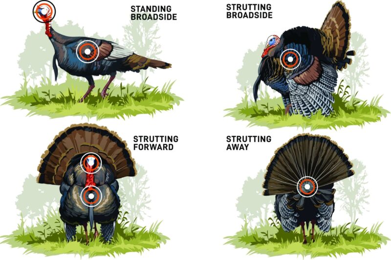 Turkey Hunting Forecast 2024 Caresa Selestina