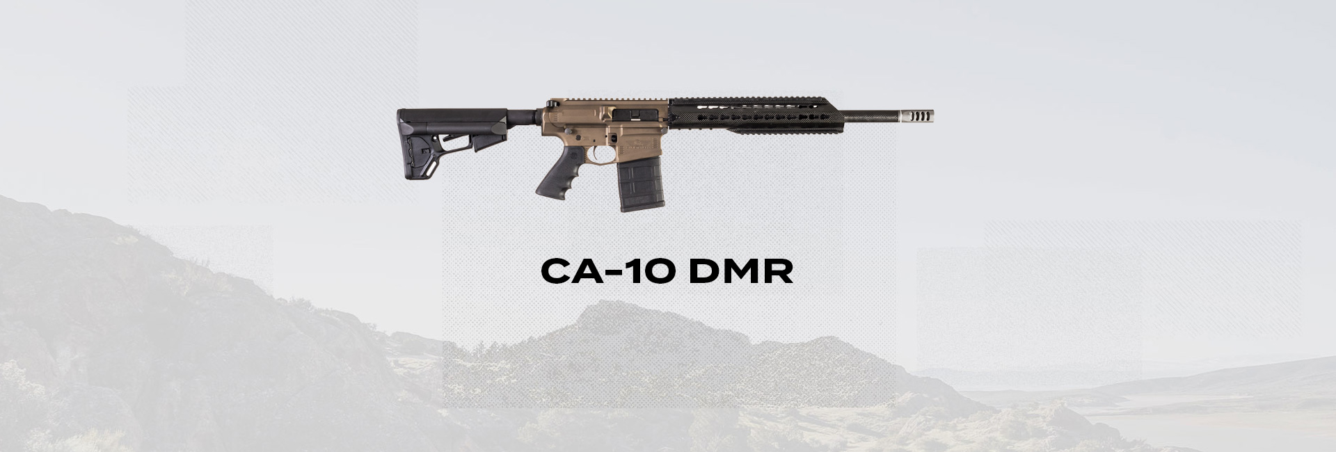 CA-10 DMR