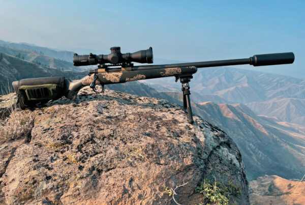 caliber for western big game hunting