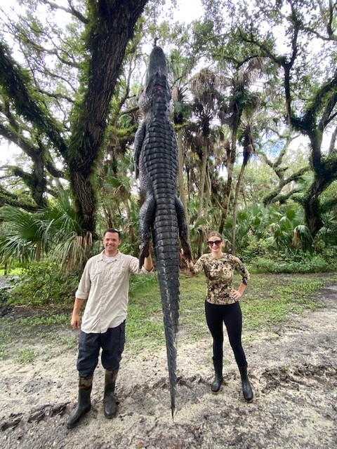 Gator hunting christensen arms
