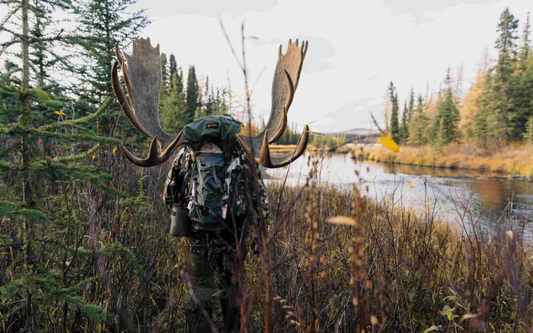 Moose Hunting the Yukon