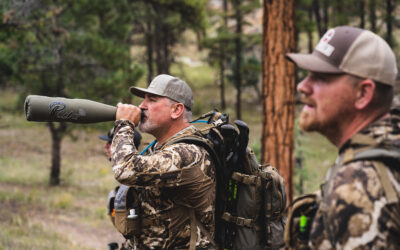 Elk Calling Strategies for Every Phase of the Season