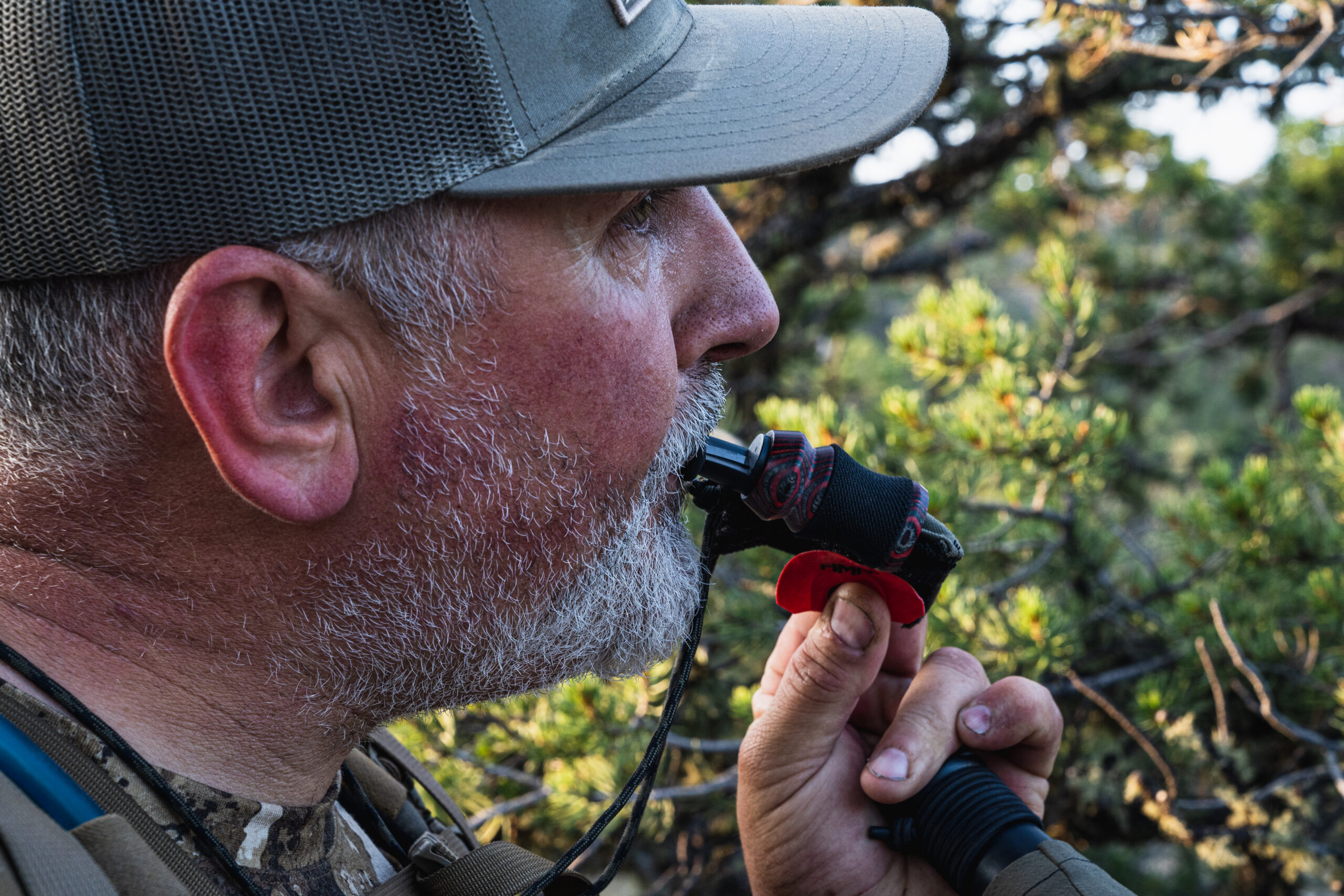 external elk call phelps elk calling