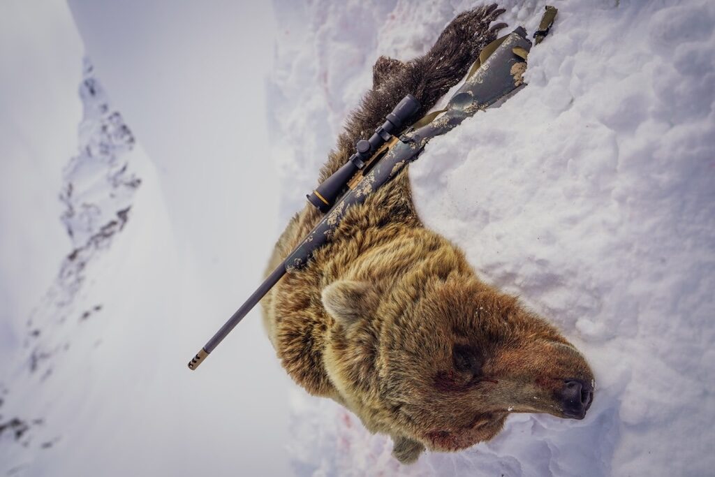 Spring Bear Ridgeline FFT